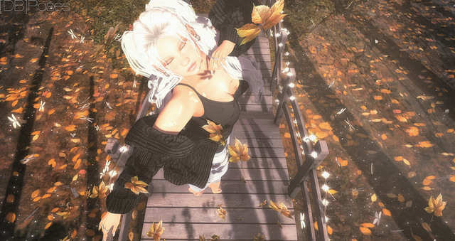 [DB]Poses - "you make me feel like i'm flying"