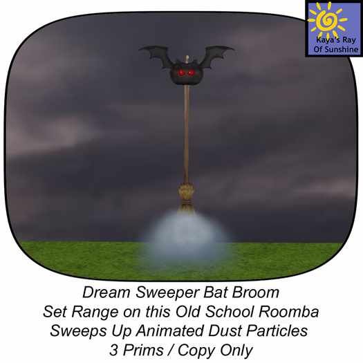 Dream Sweeper Bat Broom BOX