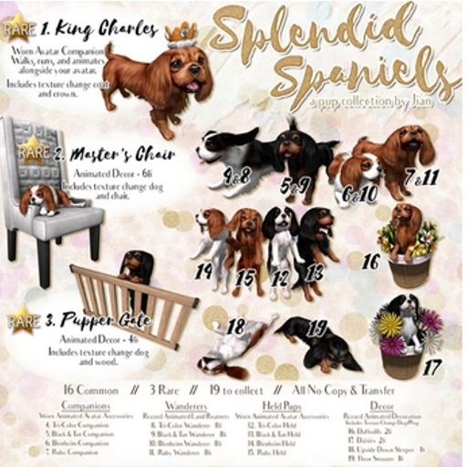 JIAN Splendid Spaniels BOX 13. Black & Tan Held