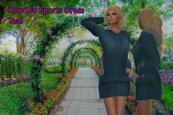AMC Hooded Sports Dress Teal Mesh
