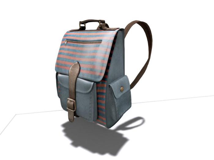 Traveller's backpack  { 10 }