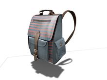 Traveller's backpack  { 10 }
