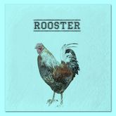DFS Rooster