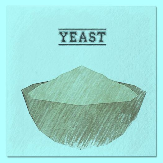 DFS Yeast
