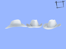 WC752 Cowboy Hat