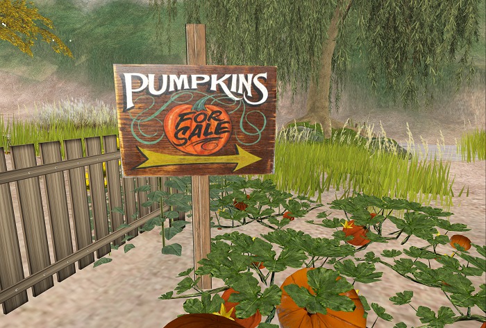 Pumpkins for Sale sign