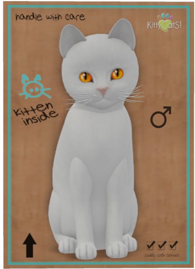 KittyCatS Box - Russian - White