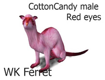 WK Ferret