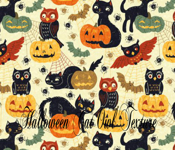 Halloween Cat Owl Texture