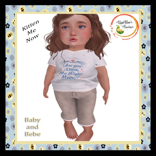 BeeBoo's - Kitten Me Now - Box HUD