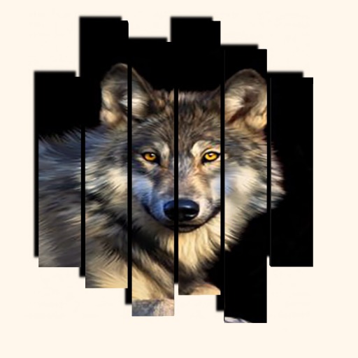 6 PICTURE FRAME WOLF COLLECTION