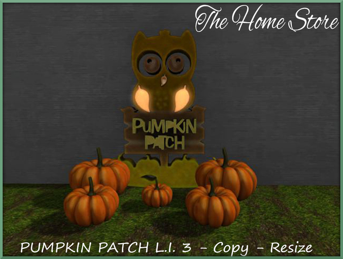 Pumpkin Patch | AUTUMN DECOR