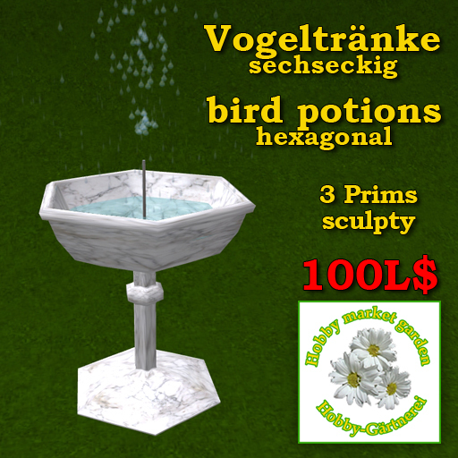 Bird Bath