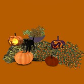 Roses & Cat Pumpkins on the Rocks, 5 Li , Bagged