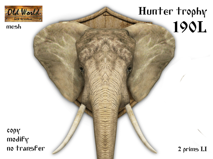 Hunter trophy - Elephant - Old World - Rustic / Medieval Decorations