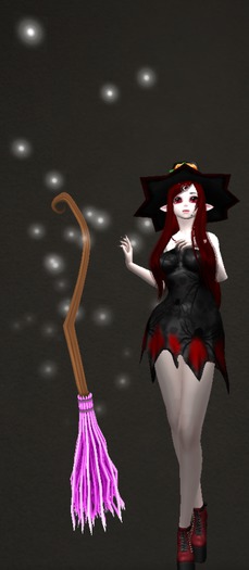 --{Mefy's}-- Broom Pink
