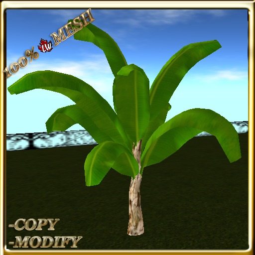 LW_Banana Tree 1