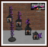 Halloween - Black Cat Lanterns Purple - Set