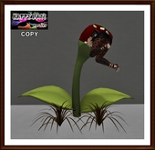 Halloween - Be careful! Plant hungry!