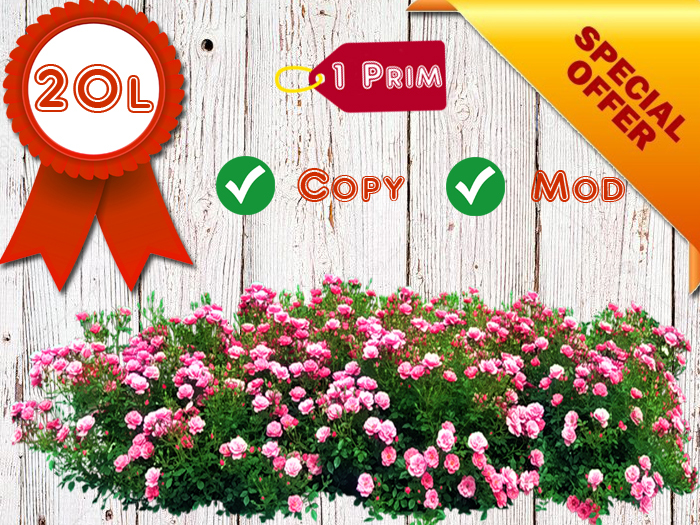 Pink Pendant Flowers