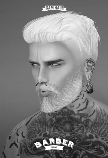 Barber Shop / Owen / DEMO (WEAR)