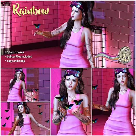 Fashiowl Poses - Rainbow // BOX