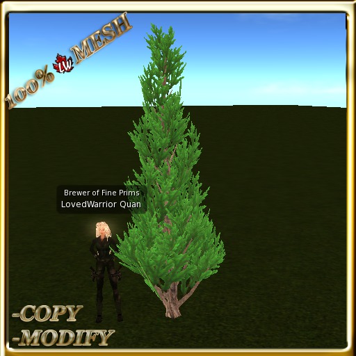LW_ Mesh Juniper Tree