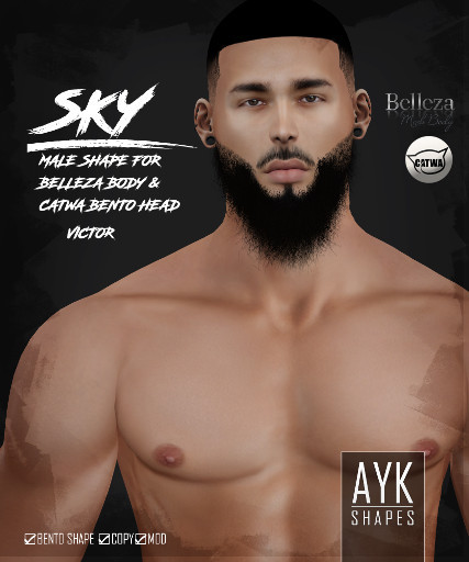 AYK-SHAPES@Belleza Shape SKY