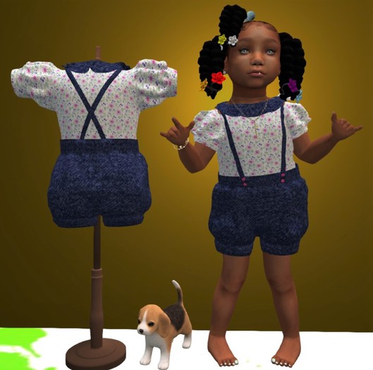 PBR- Fun Day  Overall