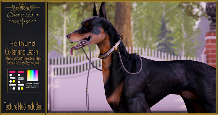 Cheval D'or - Hellhund - Collar and Leash.