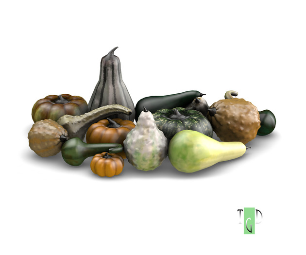 ~GD~ Gourds 1