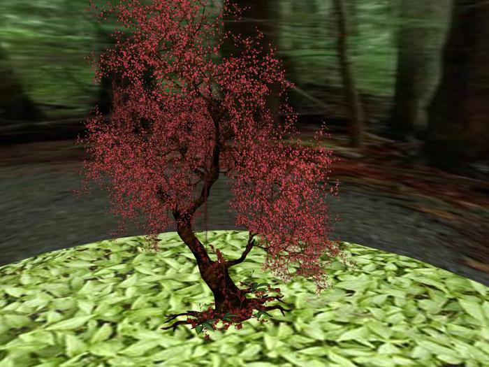 Pappilion Cosmetic Tree (Big, Red)