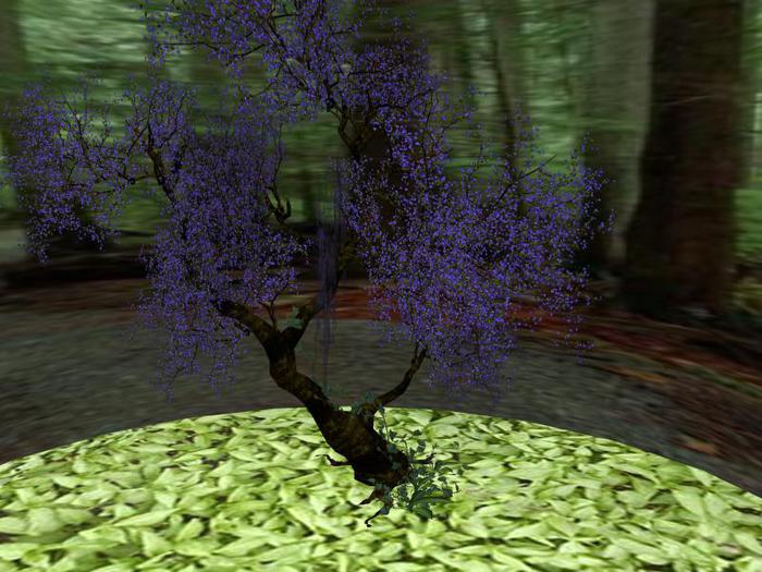 Pappilion Cosmetic Tree (Big, Purple)