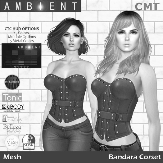 [AMBI] DEMO Mesh Bandara Corset (BOXED)