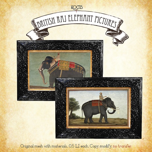 [noctis] British Raj Elephant pictures BOXED