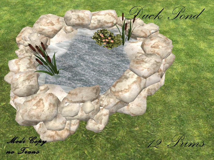 Duck Pond White Rock 12 Li
