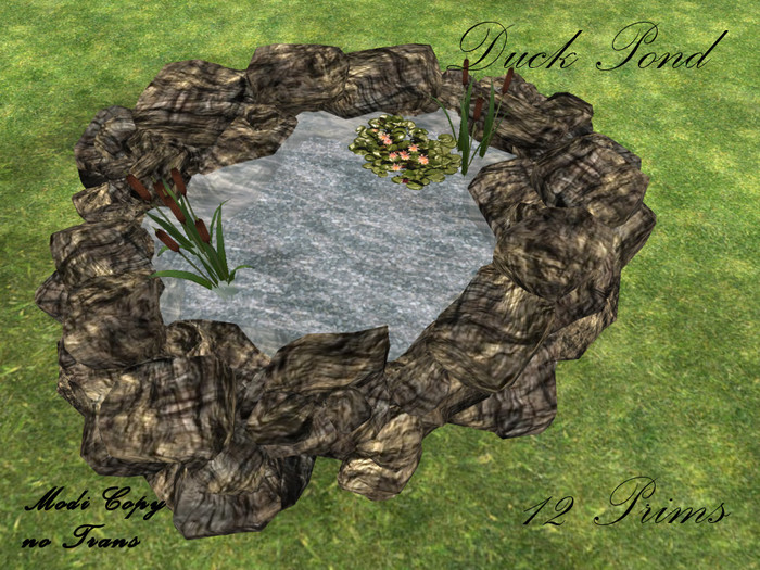 Duck Pond  Stone Mountain 12 Li