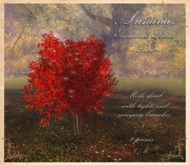 .Lunaria. Enchanted Shrub - Red 