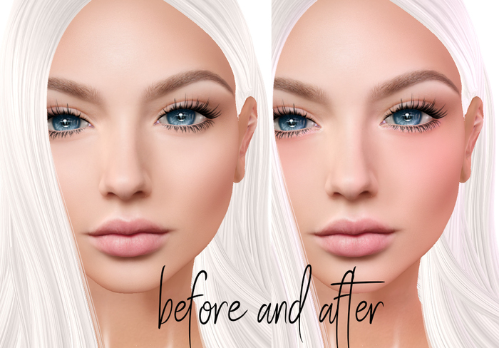 MakeUp Studio Blush 7