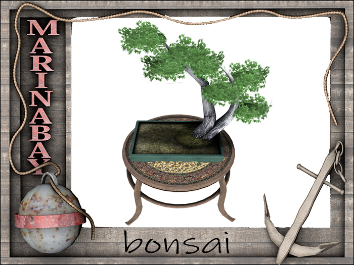 bonsai decorating