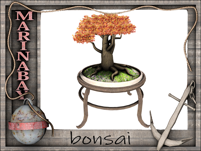 bonsai decorating