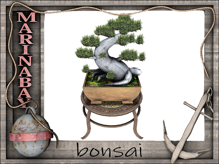 bonsai decorating