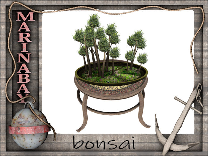 bonsai decorating