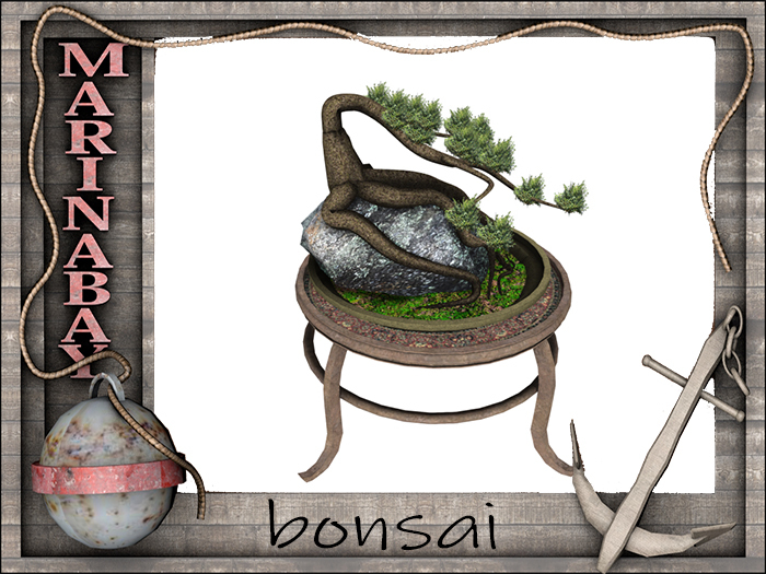 bonsai decorating