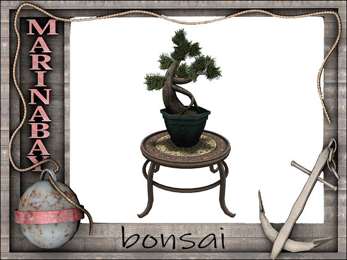 bonsai decorating