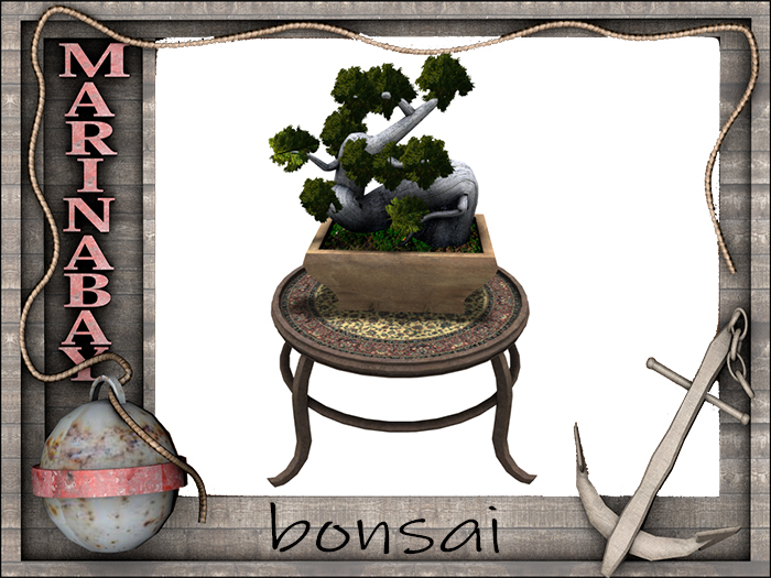 bonsai decorating