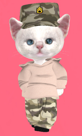Lexxie Dinkies Desert Camo Outfit