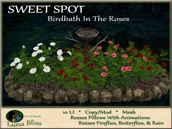 Birdbath In The Roses SWEET SPOT - Small Accent Garden