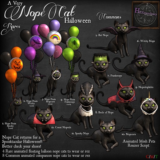 5. *HEXtraordinary* Nope Cat - Bat Nope
