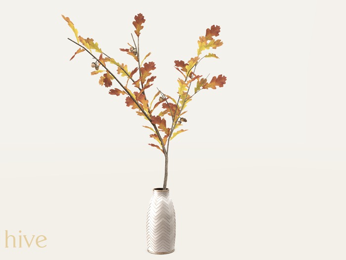 hive // autumnal plant . oak [wear to unpack]